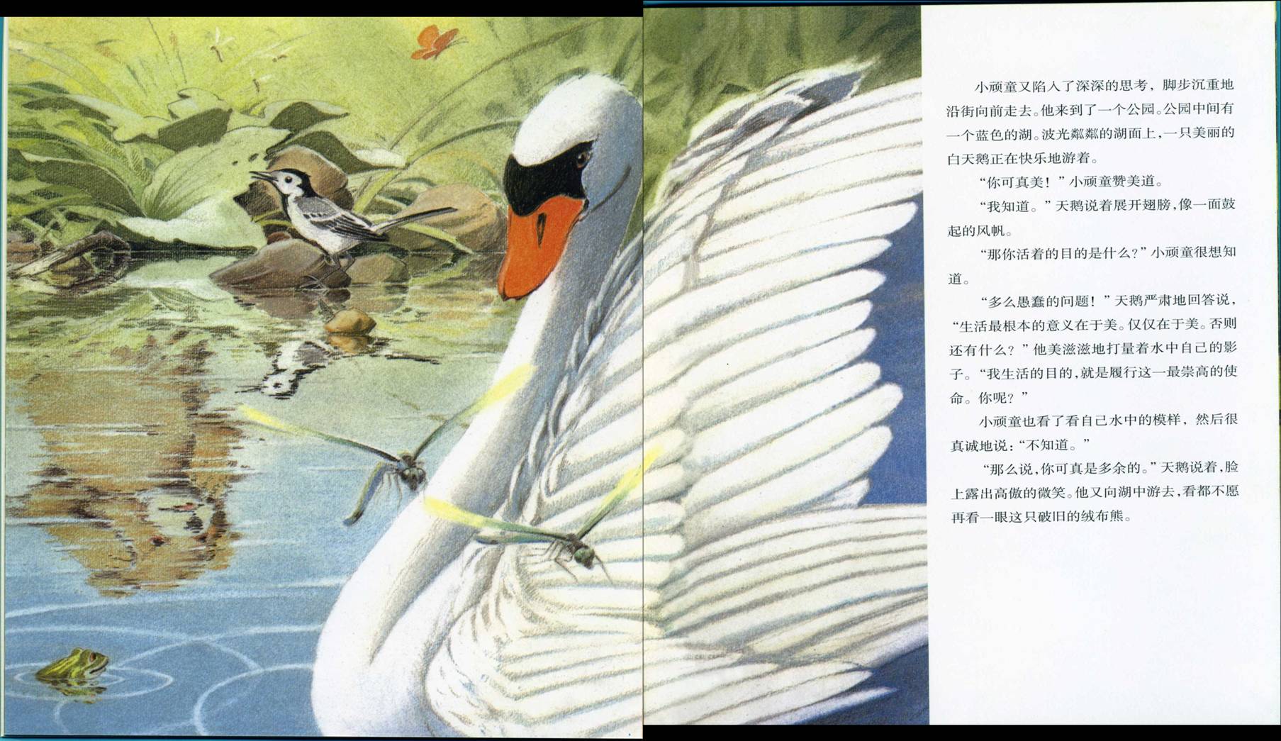 出走的绒布熊 (08),绘本,绘本故事,绘本阅读,故事书,童书,图画书,课外阅读